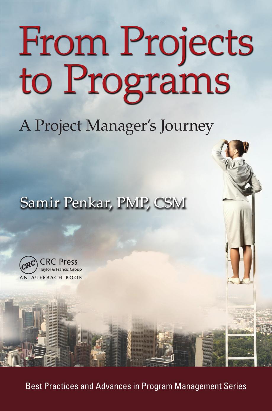 From Projects to Programs: A Project Manager's Journey