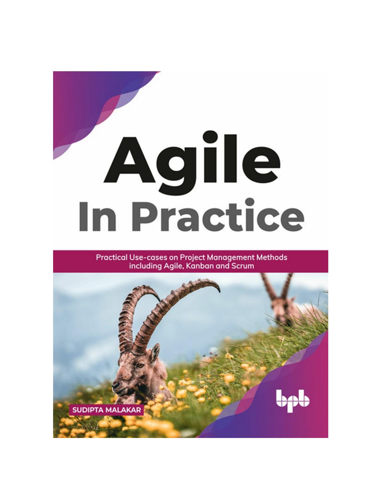 AGILE in Practice: Practical Use-Cases on Project Management Methods Including Agile, Kanban and Scrum (English Edition)