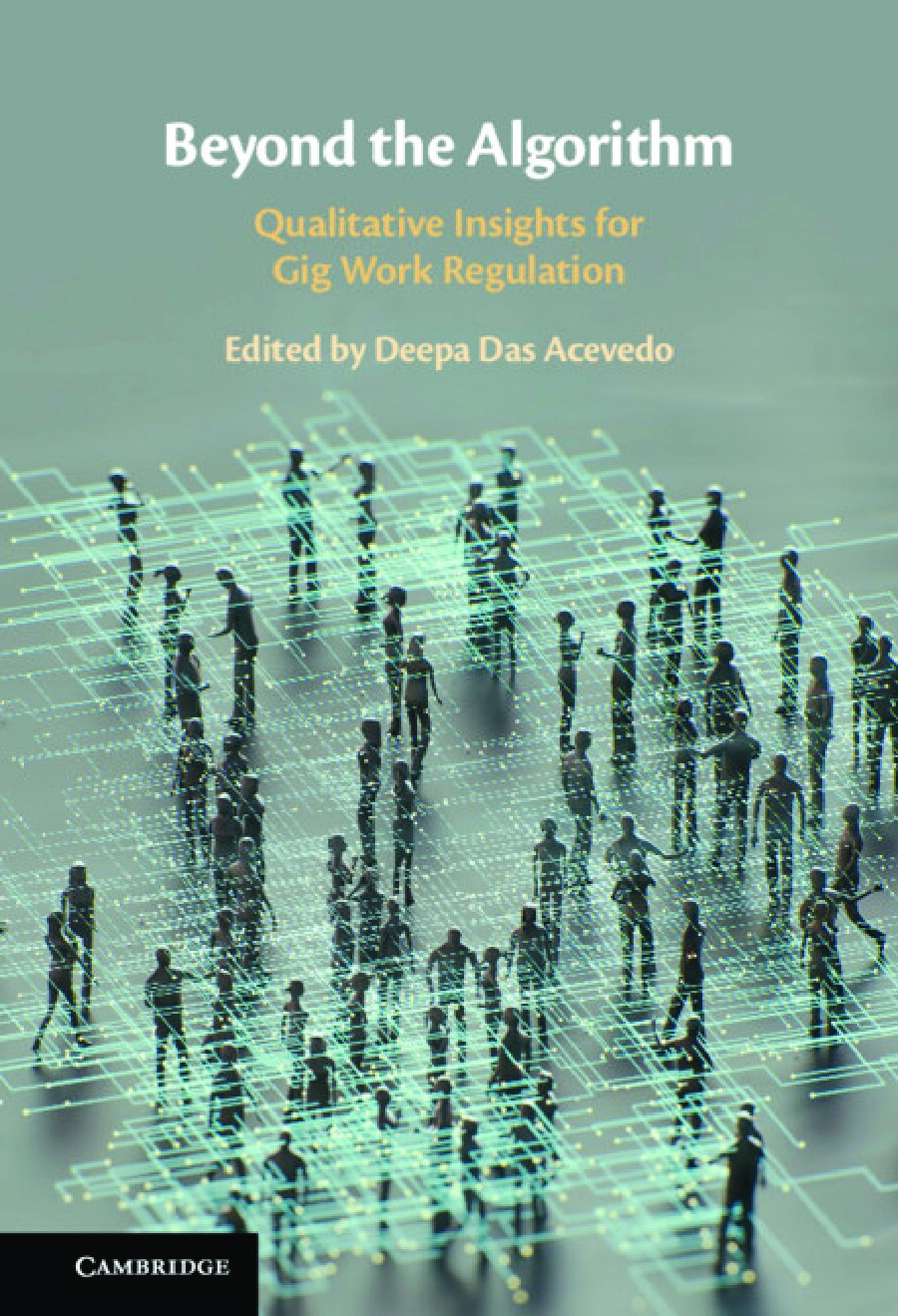 Beyond the Algorithm: Qualitative Insights for Gig Work Regulation